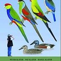 Cover Art for 9781877069635, The Slater Field Guide to Australian Birds by Peter Slater