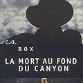 Cover Art for 9782020563383, La mort au fond du canyon by C. J. Box