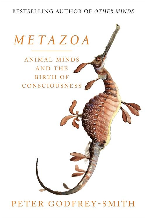 Cover Art for 9780008321215, Metazoa: Animal Minds and the Birth of Consciousness by Peter Godfrey-Smith