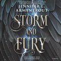 Cover Art for 9781982646400, Storm and Fury (Dark Elements) by Jennifer L. Armentrout