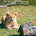 Cover Art for 9780133116649, Electrical Engineering: Principles & Applications by Allan R. Hambley