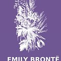 Cover Art for 9781494280659, Wuthering Heights by Brontë, Emily