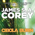 Cover Art for B00FPQA4F0, Cibola Burn by James S. A. Corey