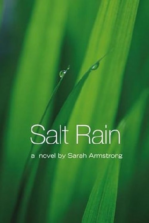 Cover Art for 9781596928343, Salt Rain by Sarah Armstrong
