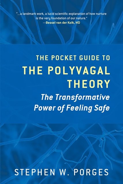 Cover Art for 9780393707878, Clinical Insights from the Polyvagal Theory by Stephen W. Porges