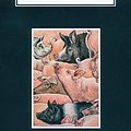 Cover Art for 9783526523611, Animal Farm by George Orwell