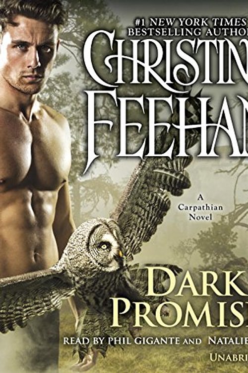 Cover Art for 9780804195188, Dark Promises by Christine Feehan