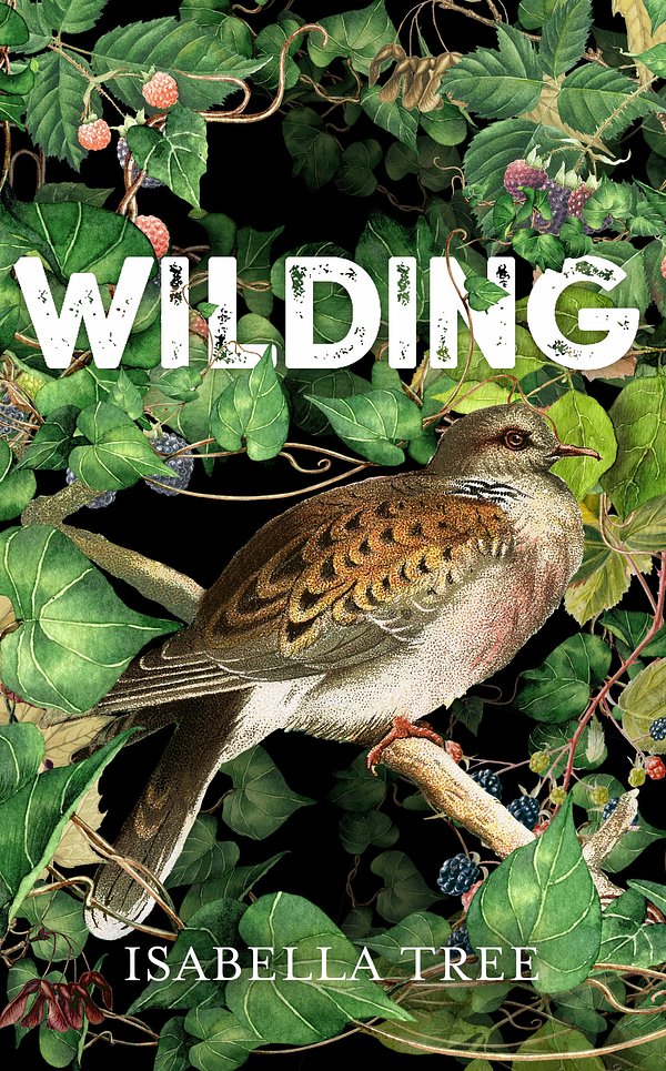 Cover Art for 9781509805105, Wilding: The Return of Nature to a British Farm by Isabella Tree