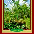 Cover Art for 9780516264332, Everglades National Park by Wende Fazio