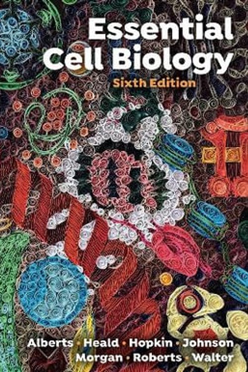 Cover Art for 9781324033356, Essential Cell Biology by Bruce Alberts