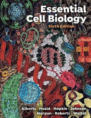 Cover Art for 9781324033356, Essential Cell Biology by Bruce Alberts