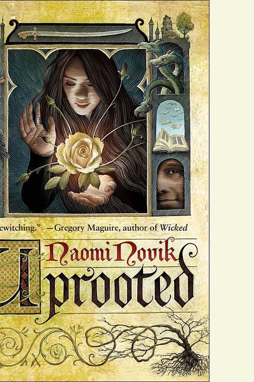 Cover Art for 9780553410082, Uprooted by Naomi Novak