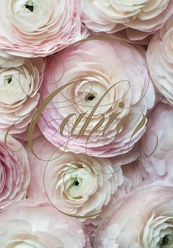 Cover Art for 9781419726910, Paris in Bloom Notebook (Ranunculus) by Georgianna Lane