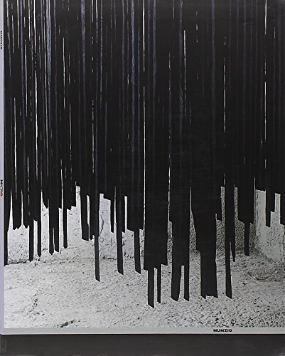 Cover Art for 9788837034184, Nunzio Di Stefano by Museo d'arte contemporanea Roma