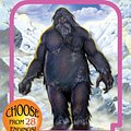 Cover Art for 9780553233322, Abominable Snowman by R. A. Montgomery