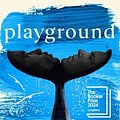 Cover Art for 9781529154313, Playground by Richard Powers