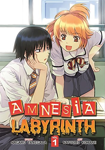 Cover Art for 9781934876930, Amnesia Labyrinth: v. 1 by Nagaru Tanigawa