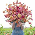 Cover Art for 9781452172897, Floret Farm's a Year in Flowers by Erin Benzakein