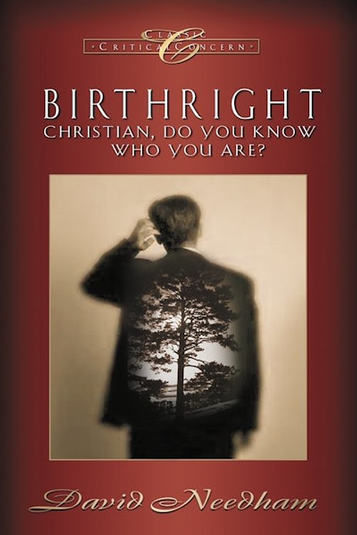 Cover Art for 9780307781123, Birthright by David C. Needham