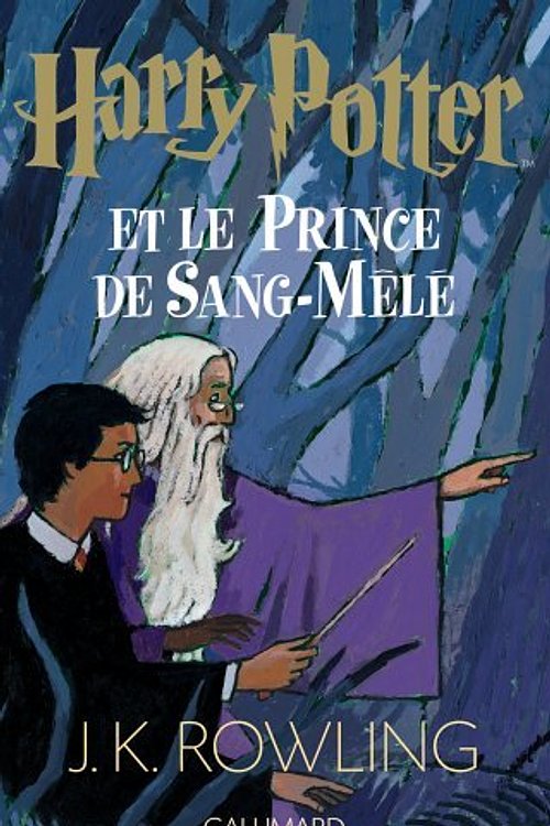 Cover Art for 9782070572670, Harry Potter Et Le Prince De Sang-mele by J. K. Rowling