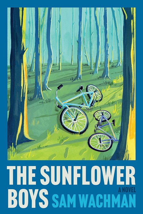 Cover Art for 9780063476714, The Sunflower Boys by Sam Wachman