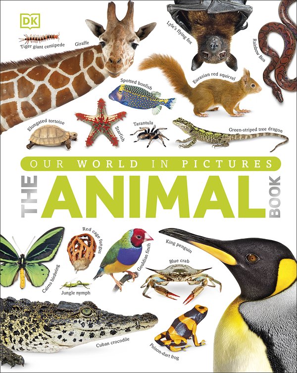 Cover Art for 9781409323495, The Animal Book by DK