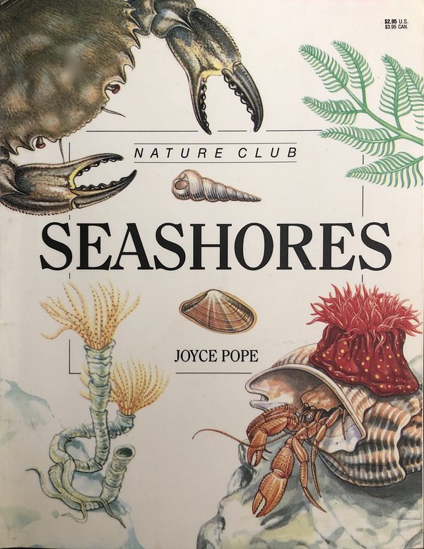 Seashores