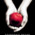 Cover Art for 9781904233657, Twilight: Twilight, Book 1 by Stephenie Meyer