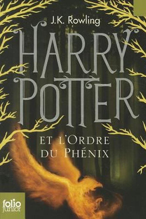 Cover Art for 9782070643066, Harry Potter - French by J. K. Rowling