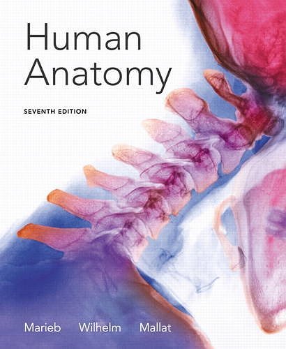 Cover Art for 9780321822413, Human Anatomy by Elaine N. Marieb, Patricia Brady Wilhelm, Jon B. Mallatt