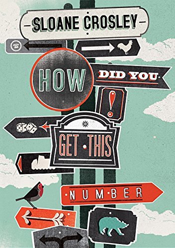 Cover Art for 9781846272257, How Did You Get This Number by Sloane Crosley