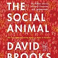 Cover Art for 9780307739001, The Social Animal by David Brooks