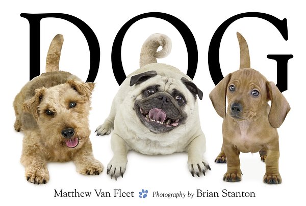 Cover Art for 9781416941378, Dog by Matthew Van Fleet