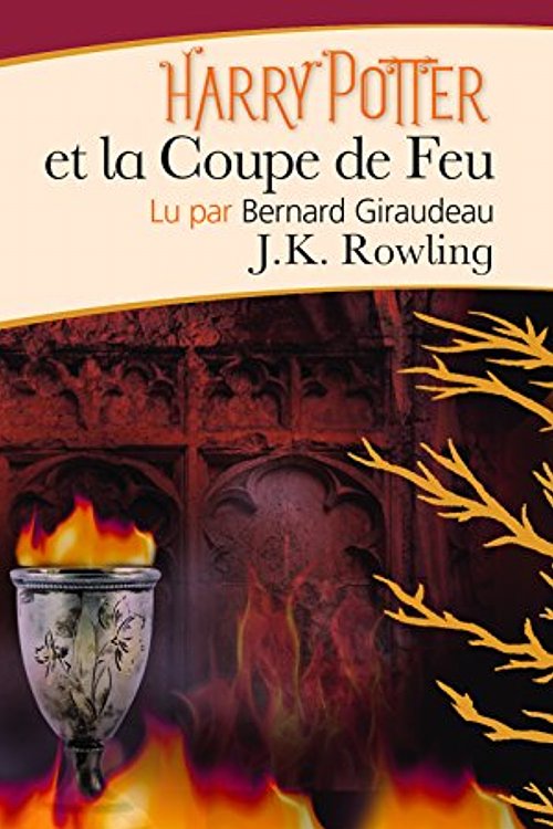 Cover Art for 9782075076142, Harry Potter 3 et la coupe de feu by J. K. Rowling
