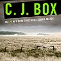 Cover Art for B00556G7DI, In Plain Sight (Joe Pickett series Book 6) by C.j. Box