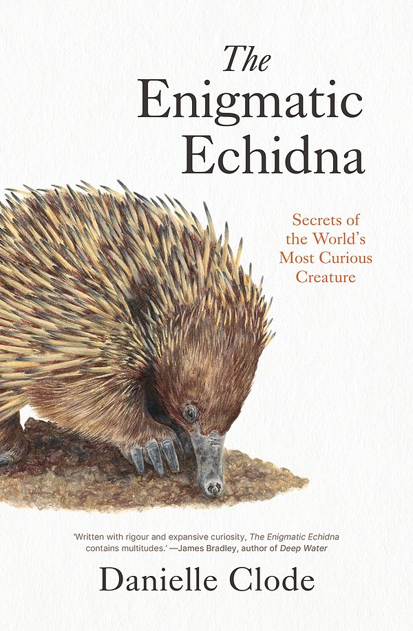 Cover Art for 9781760645328, The Enigmatic Echidna: Secrets of the World's Most Curious Creature by Danielle Clode