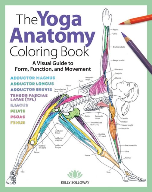 Cover Art for 9781640210219, The Yoga Anatomy Coloring BookA Visual Guide to Form, Function, and Movement by Kelly Solloway