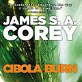 Cover Art for 9780316217620, Cibola Burn by James S a Corey