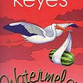 Cover Art for 9781853716232, Watermelon by Marian Keyes