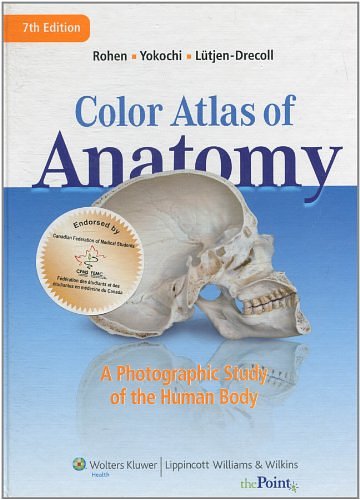 Cover Art for 9781451103151, Color Atlas of Anatomy by Johannes W. Rohen, Lutjen-Drecoll, Elke, Chichiro Yokochi