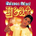 Cover Art for 9780778705598, Heat by Darlene Lauw, Lim Cheng Puay