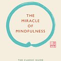 Cover Art for 9781846044823, The Miracle of Mindfulness by Thich Nhat Hanh