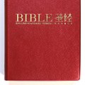 Cover Art for 9789812204516, Bilingual English Chinese Holy Bible / English Standard Version - Revised Chinese Union Version, Simplified Chinese / ESV/RCUV / Burgundy Pearl Vinyl with Golden Edges, Maps, Large Chinese Characters by The Bible Society of Singapore