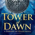 Cover Art for 9781408887974, Tower of Dawn by Sarah J. Maas