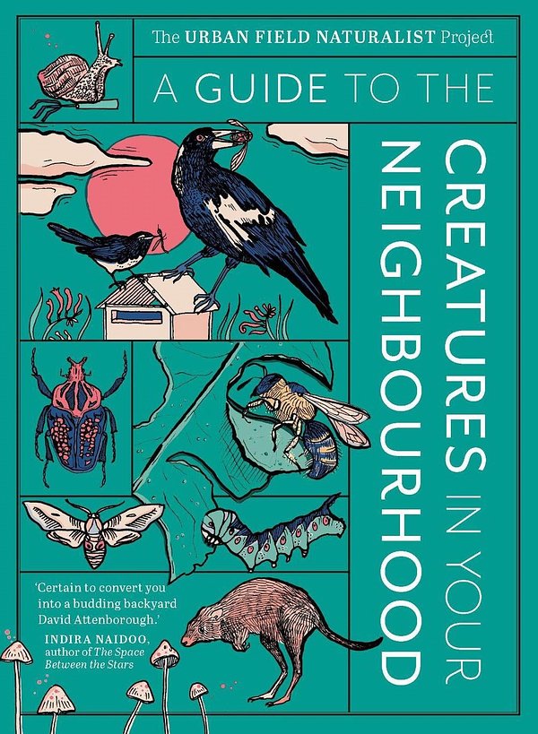 Cover Art for 9781922616326, A Guide to the Creatures in Your Neighbourhood by Zoë Sadokierski, Andrew Burrell, Dieter Hochuli, John Martin, Thom Van Dooren
