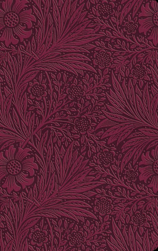 Cover Art for 9781433582509, ESV Large Print Value Thinline Bible (Trutone, Raspberry, Floral Design): Esv Value Thinline Bible Trutone, Raspberry, Floral Design by Esv Bibles by Crossway