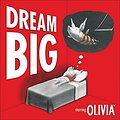 Cover Art for 9780740758188, Dream Big by Ian Falconer