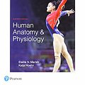 Cover Art for 9780134760230, Study Guide for Human Anatomy & Physiology by Elaine Marieb, Katja Hoehn