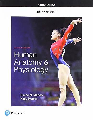 Cover Art for 9780134760230, Study Guide for Human Anatomy & Physiology by Elaine Marieb, Katja Hoehn