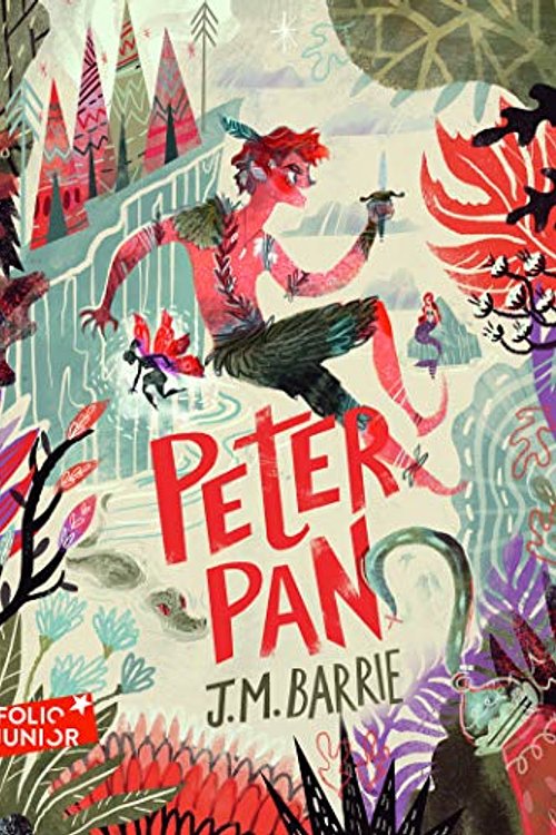 Cover Art for 9782075099943, Peter Pan by Barrie J M